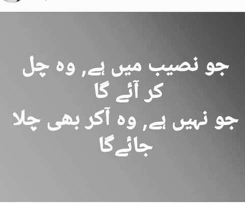 Image result for tashngi